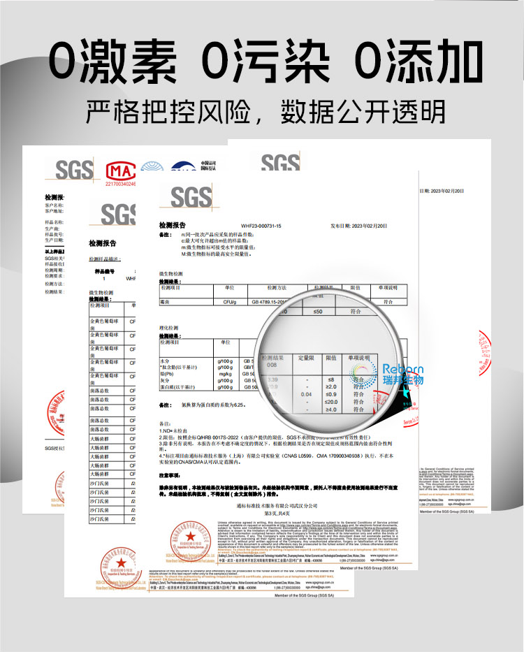 桑叶详情09.png